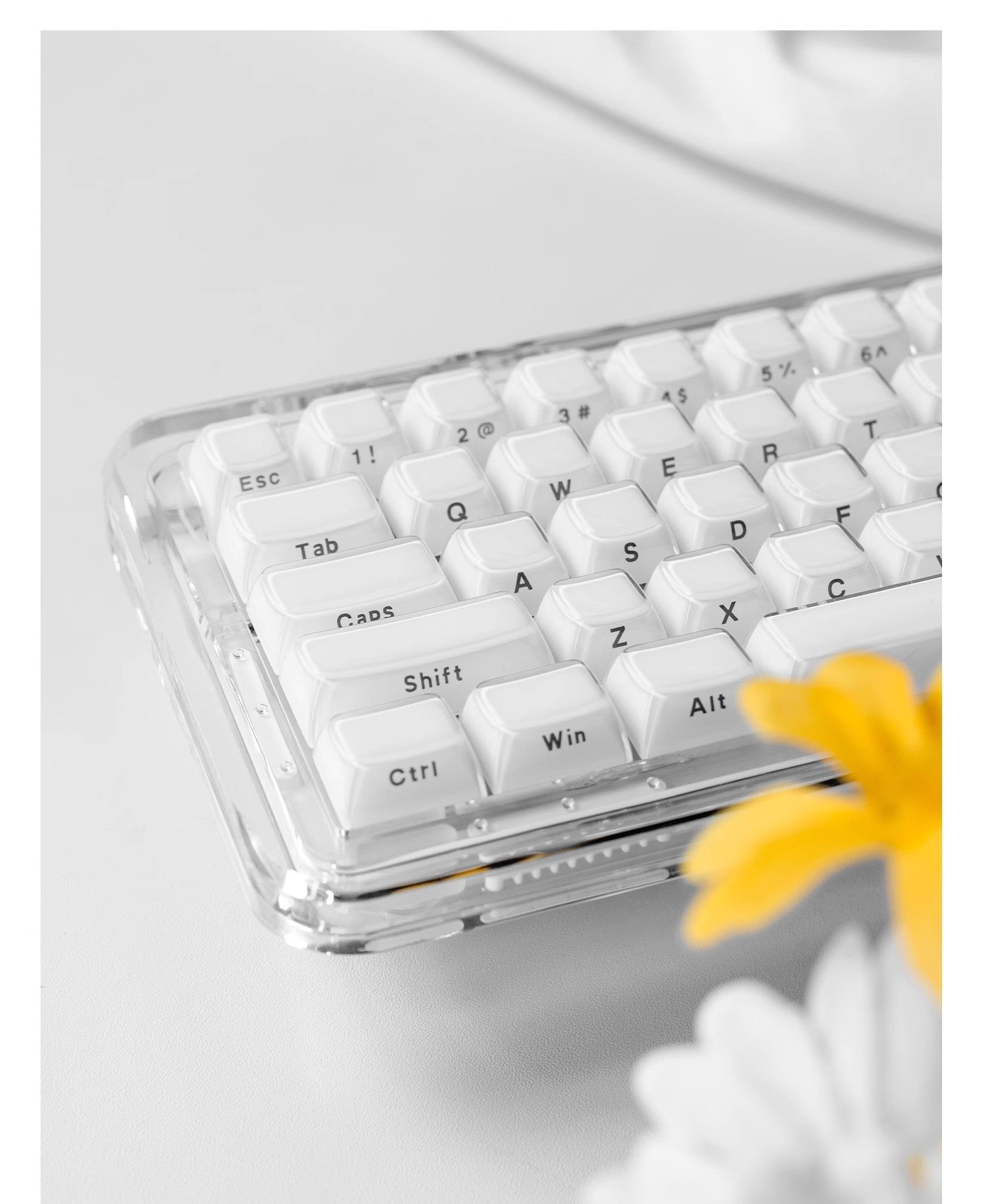 Crystal Jelly Side-Engraved Heart Keycaps – OEM Profile for Wooting - Titan Nation