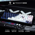 Printstream Girl Keycaps Compatible with Wooting 60HE, MAD60HE, ACE60, ATK EDGE60, FUN60, WIN60, LUCKY 65, IPI65, REAL67, XTRFY K5, TITAN68, ACE68, MAD68HE, MADE68, HERO68, NANO68, FIRE68, MIG68, and ATK RS6.