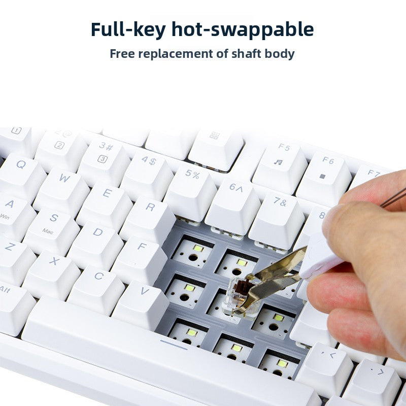 RK R87 Mechanical Keyboard