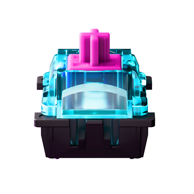 Titan Nation Miami Magnetic Axis Switch