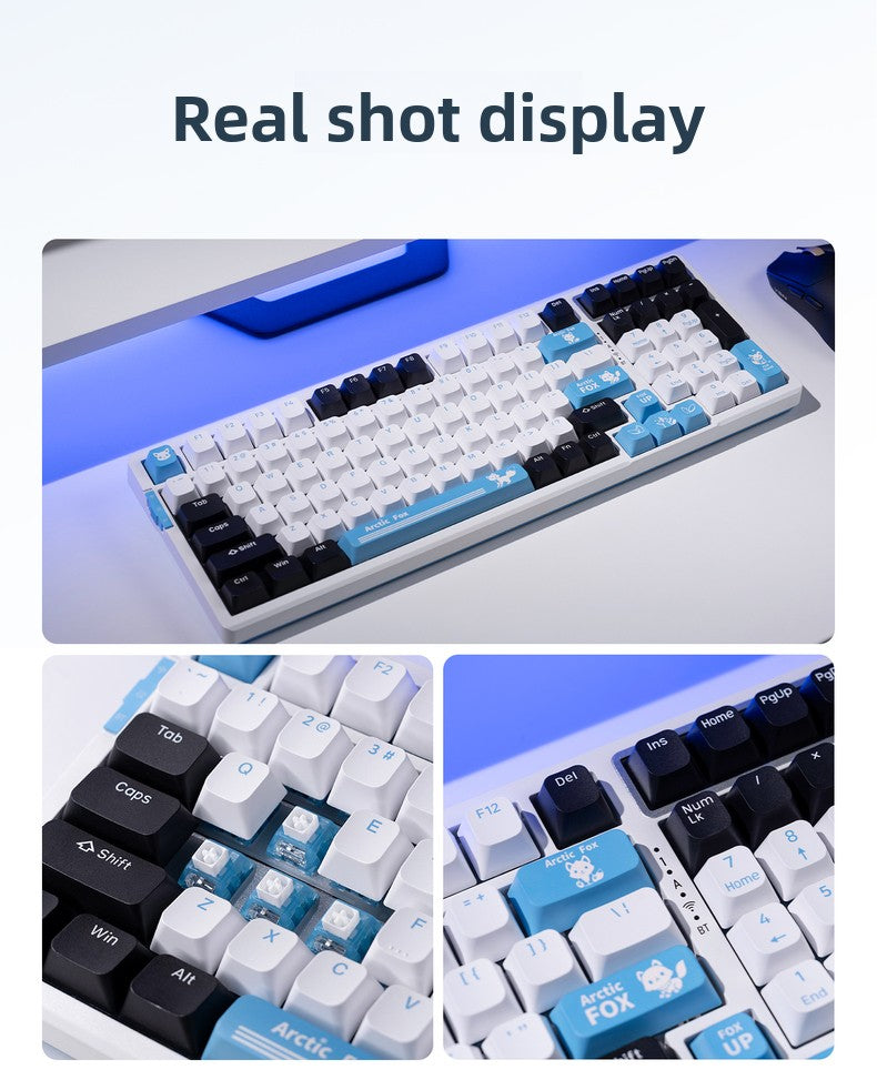 VGN V98 Pro V3 Wireless Gasket Mechanical Keyboard - Titan Nation