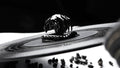 Makingo Alien Facehugger Artisan Keycap – Custom 1U Metal Design - Titan Nation